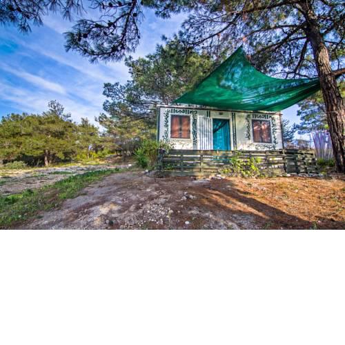 Forest Cottage