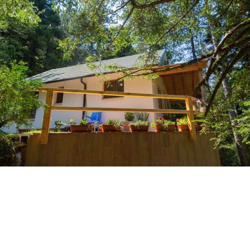 Forest House Llogara