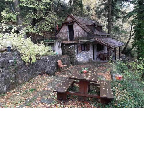 Forest House