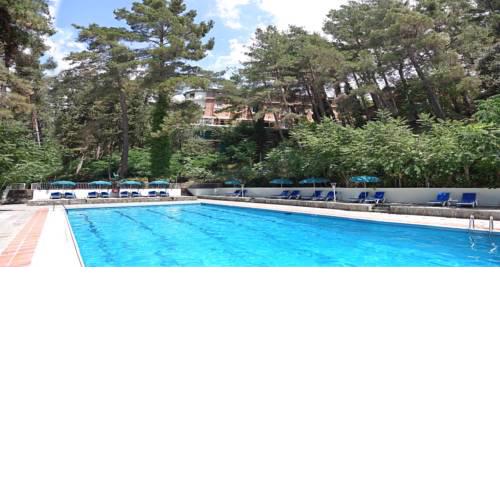 Forest Park Hotel
