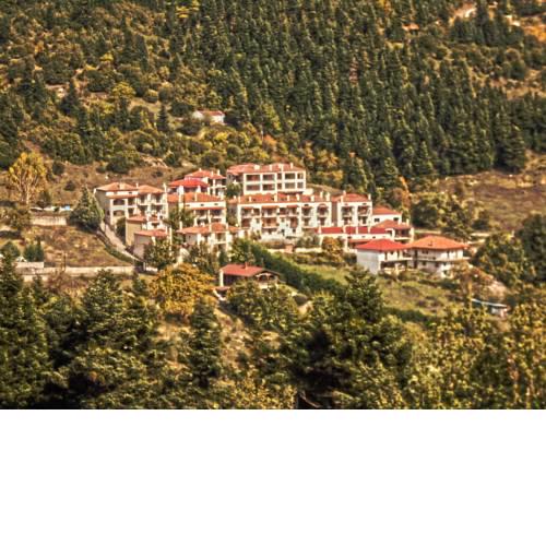 Forest View Residence