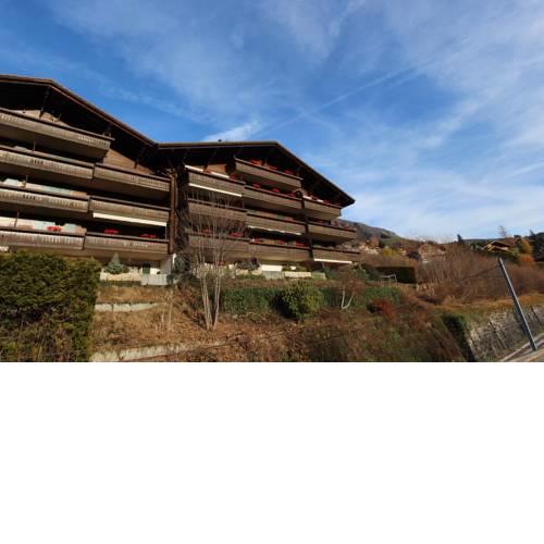 Forêt C13