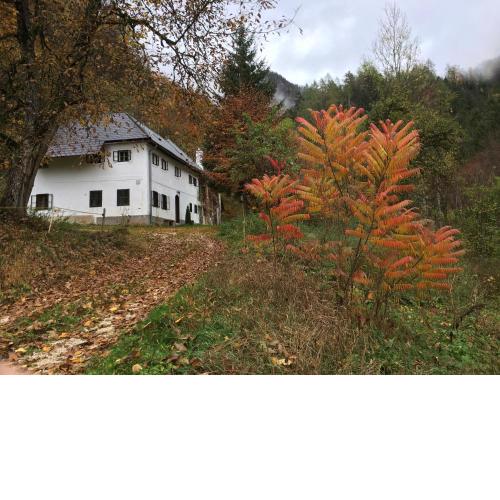 Forsthaus Gut Traunfried
