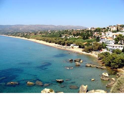 FOTIS HOUSE