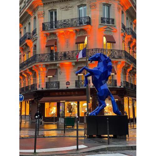 Four Seasons Av George V Eiffel Tower/ 3BR /8 beds