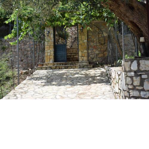 Freddie' s House