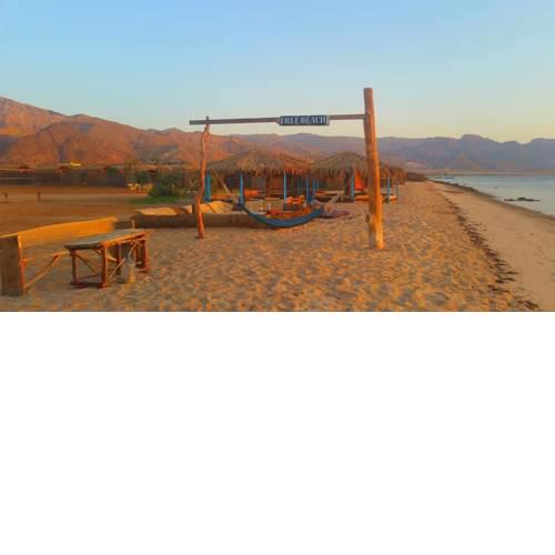 Free Beach Camp