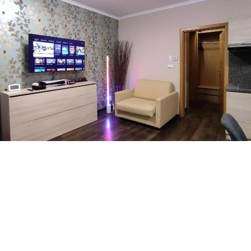 FREE WELLNESS & MULTIMEDIA APARTMENT - Zdarma neomezený vstup do wellness - finská sauna, parní sauna, solná sauna - PlayStation 5, Voyo, Netflix, Disney plus, HBO MAX, Deskové hry - Snídaně na pokoj v ceně pobytu