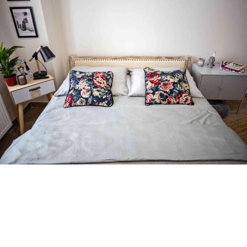 FRIDA apartment+terrace+NETFLIX