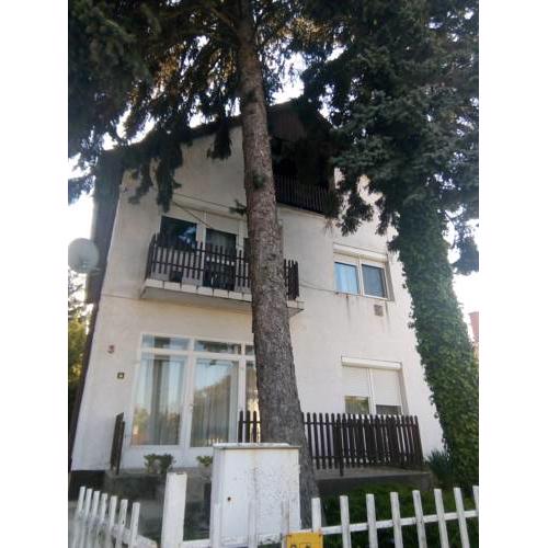 Fridolin Guesthouse