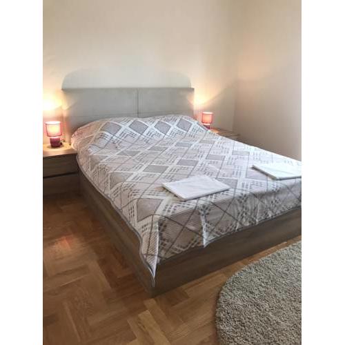 Friendly Apartment
