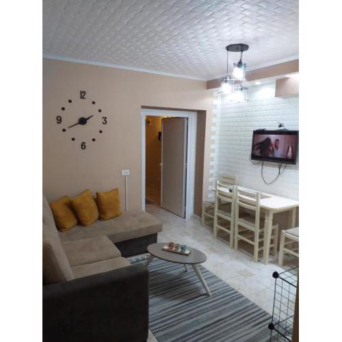 Friendly Apartment