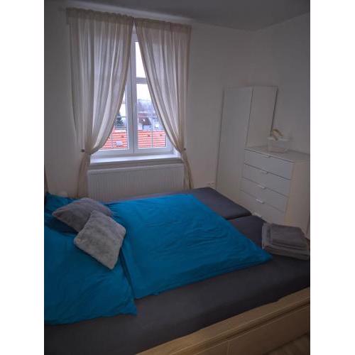 Friendly Apartment