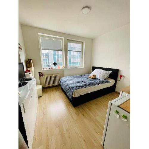 Friendly small flat for nomads