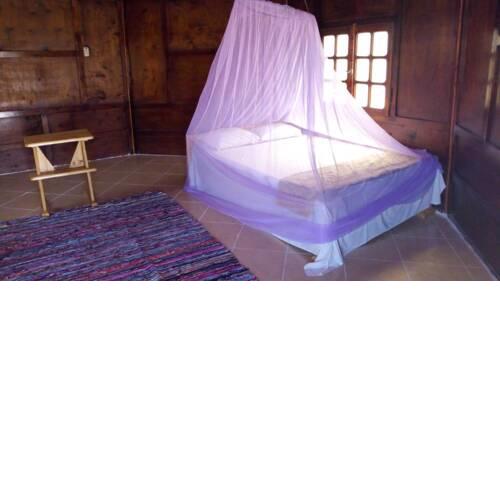 Friends Camp