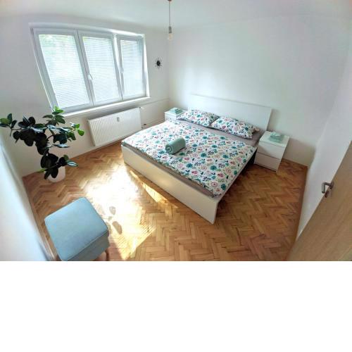 Friends & Family Apartment