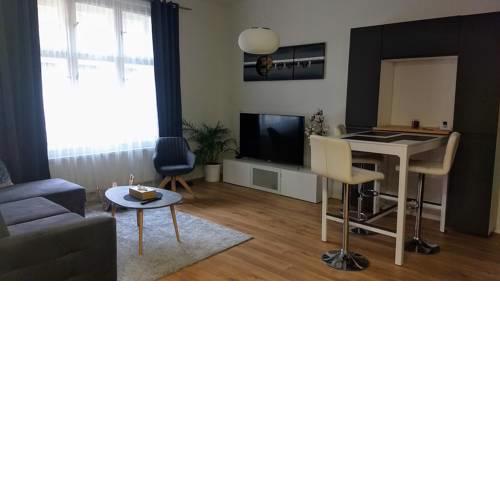 Full 82m2 apartment Prague Zizkov