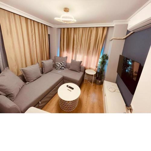 fully equipped central 1+1 apt
