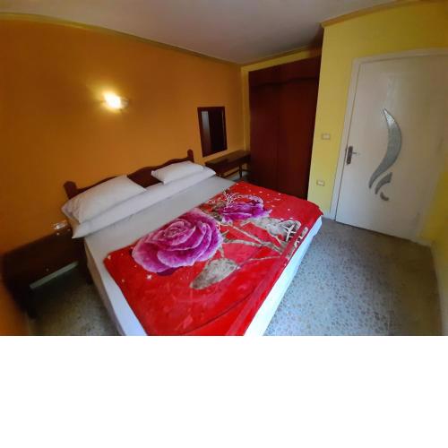 Fully Furnished Apartement in Cairo Downtown 5minutes from tahrir square and Ramsis street