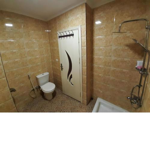 Fully Furnished Apartement in Cairo Downtown near to tahrir square and Ramsis street