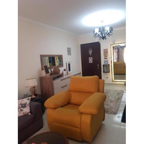 Fully furnished apartment in Madinaty