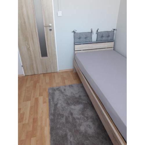 Fully renovated apartment near the city centre