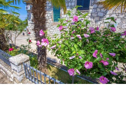 Funtana Rooms