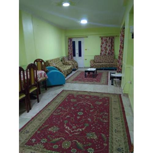 Furnished Apartment at Tanta