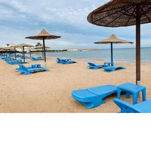 Furnished Chalets for Rent in Cecilia Resort Furnteched, kitchenee, Near Airport