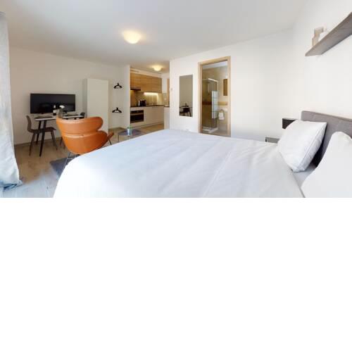 Furnished Studio #002 - Swiss Resort Aigle