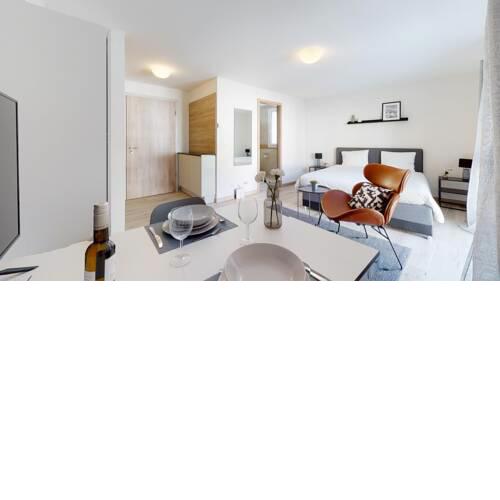 Furnished Studio #302 - Swiss Resort Aigle