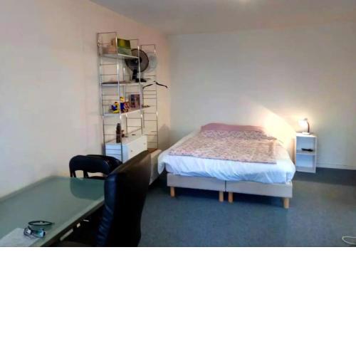 Furnished Studio Montparnasse