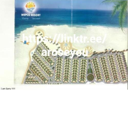 G5 lazordy bay