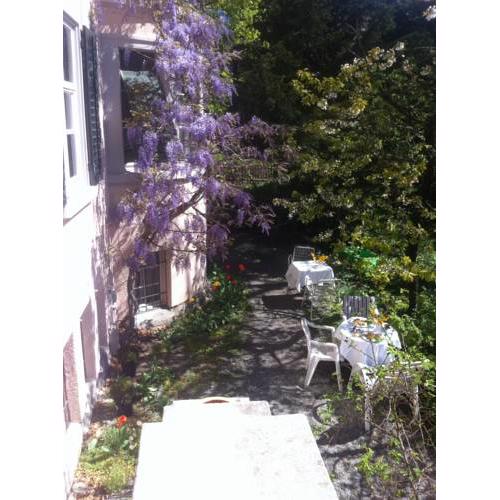 Garden Studio Apartment Zürichberg