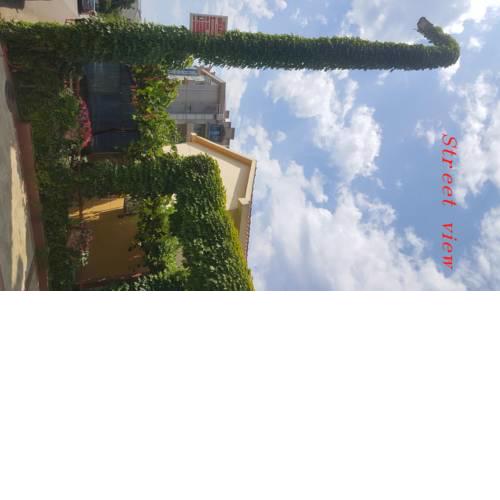 Garden suite