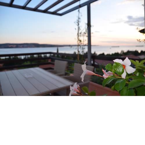 Garden View Apartments