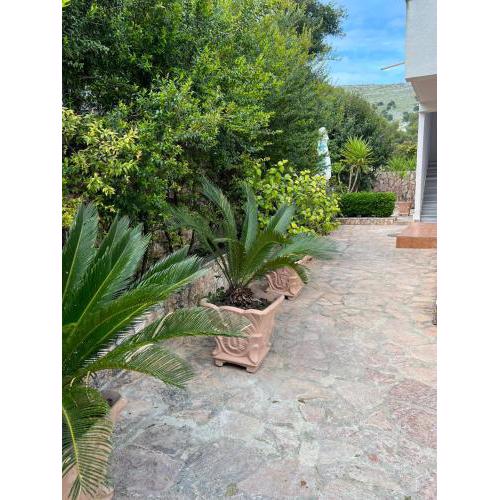 Garden Villa 6