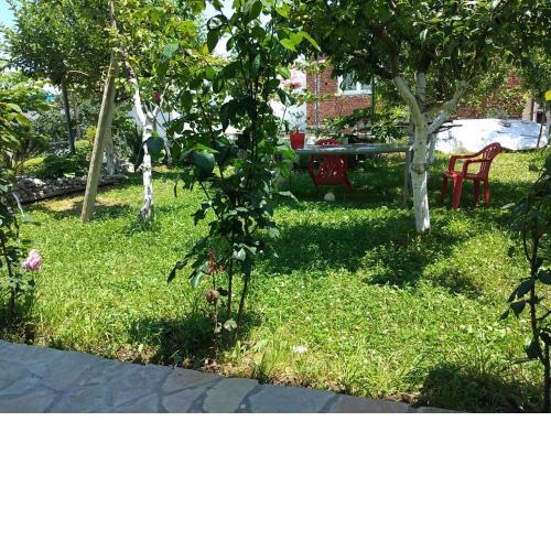 Gardenhouse