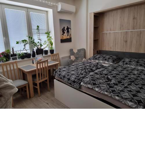 Garsoniera DUKLA 289