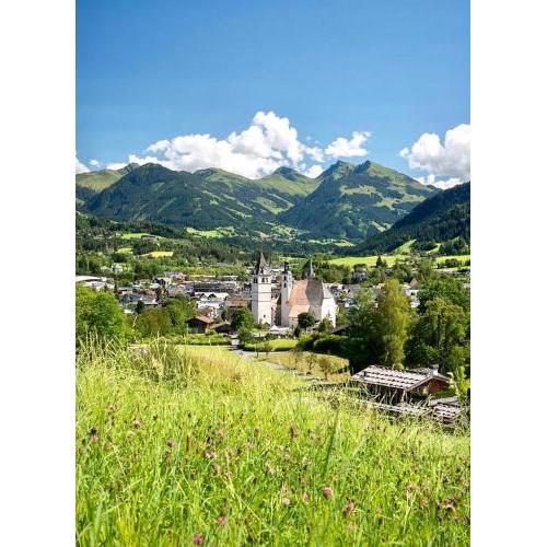 Gäste Apartment Streif Blick
