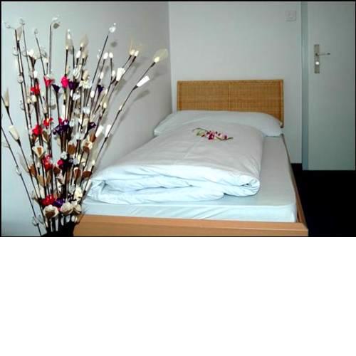 Gasthaus zur Rose