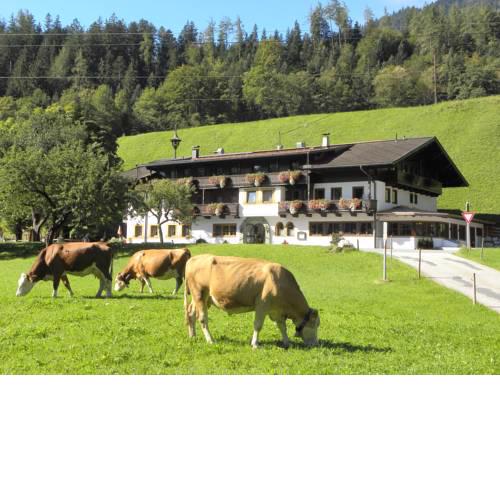 Gasthof Oberstegen