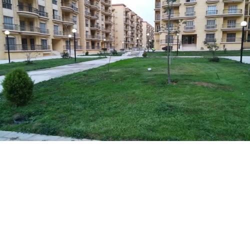 Gazzar inn Rehab42