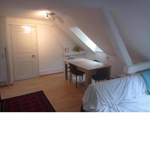 Gemütliche Dachwohnung
