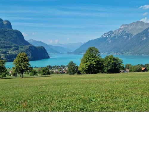 Gemütliche Ferienwohnung zwischen See und Bergen