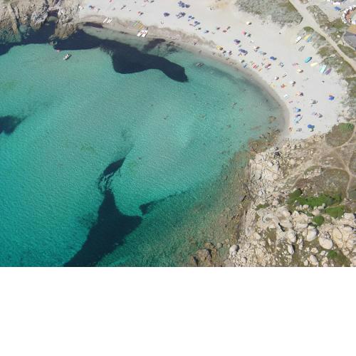 Gente di Mare - Case Vacanza