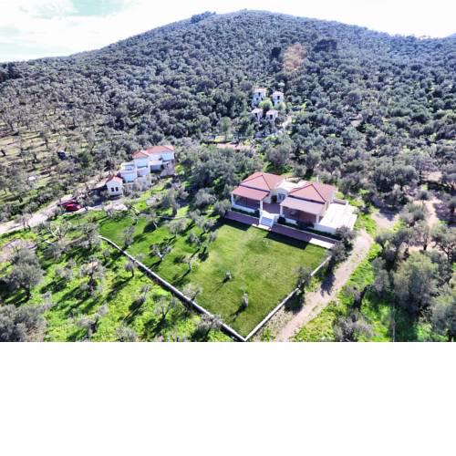 Gera's Olive Grove - Elaionas tis Geras