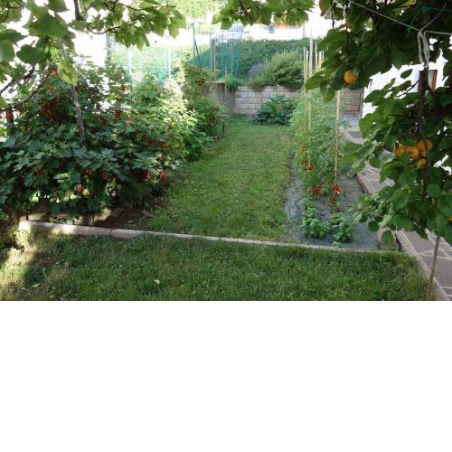 Giardino e orticello.