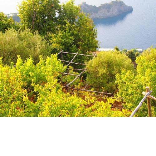 GIARDINO SUL MARE