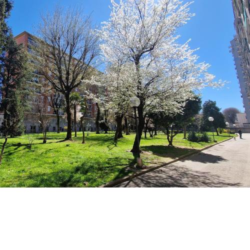 Giardino sul Naviglio